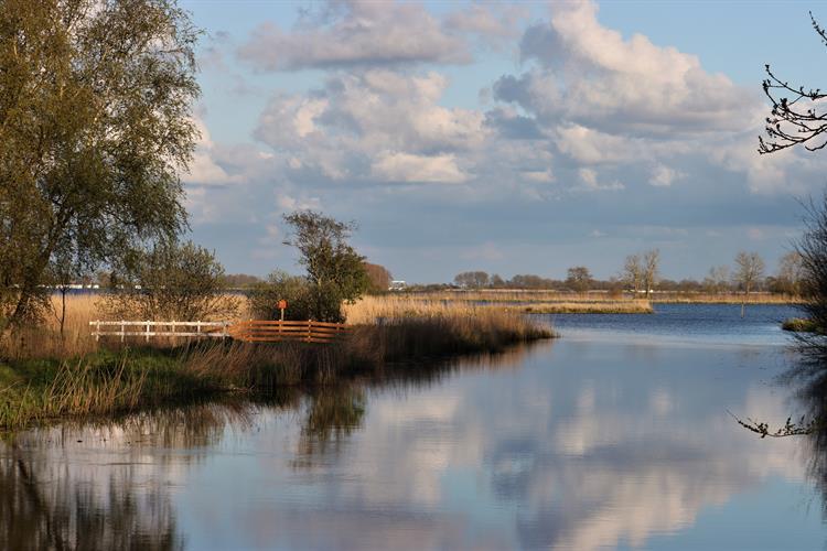 Beleef de zomervakantie met It Fryske Gea